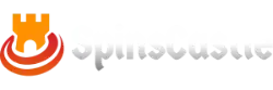 Casino Spin Castle Mobile App